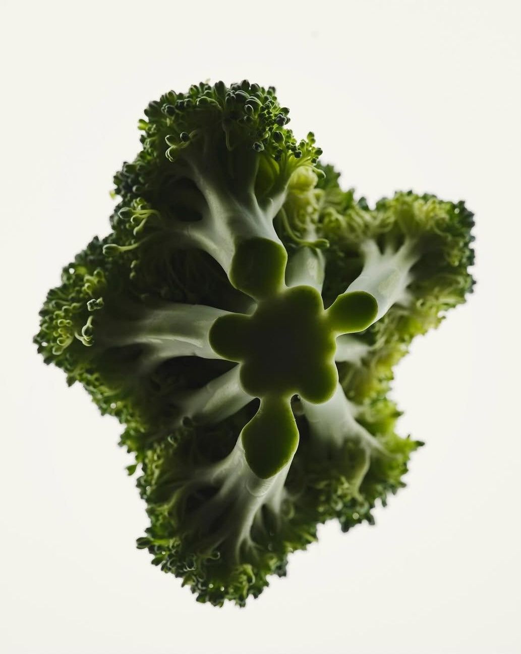 VITAMINES ET COMPLÉMENTS