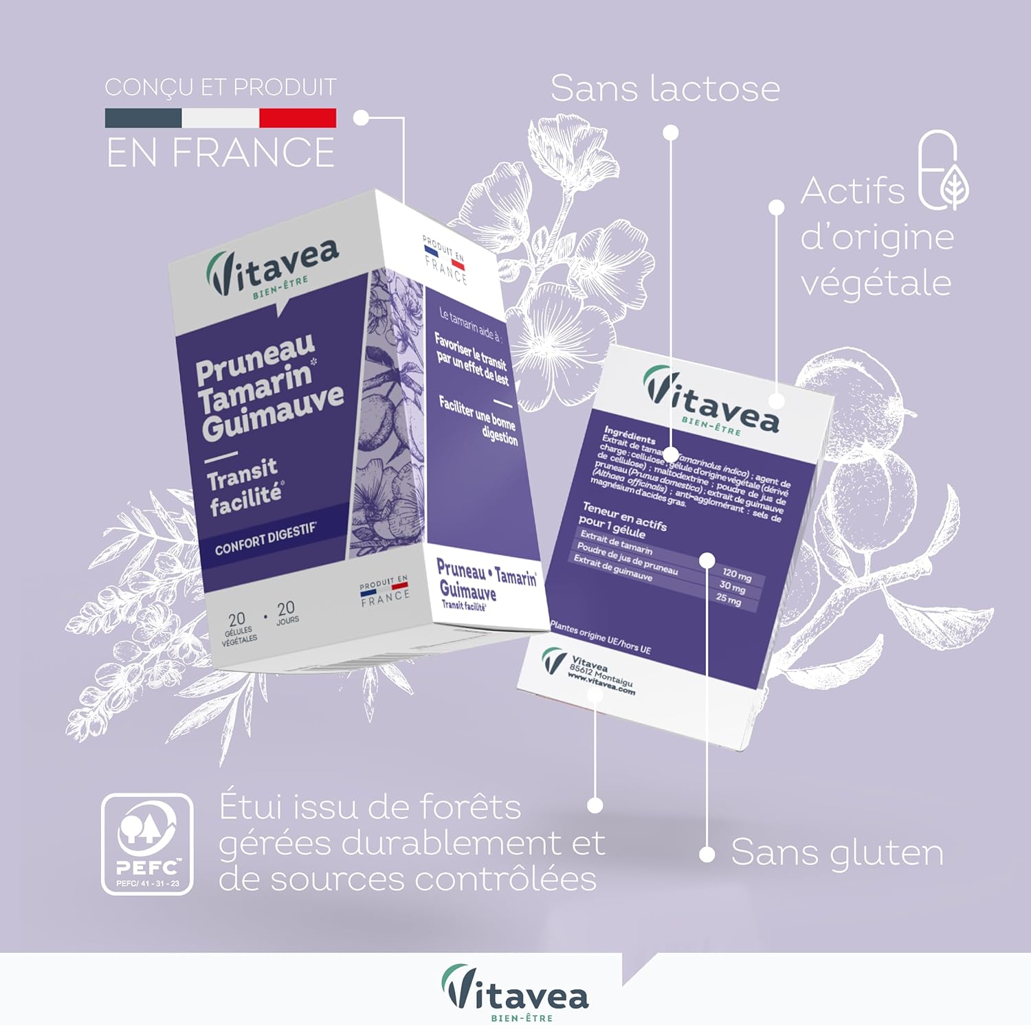 Transit Régulier Idéal Transit